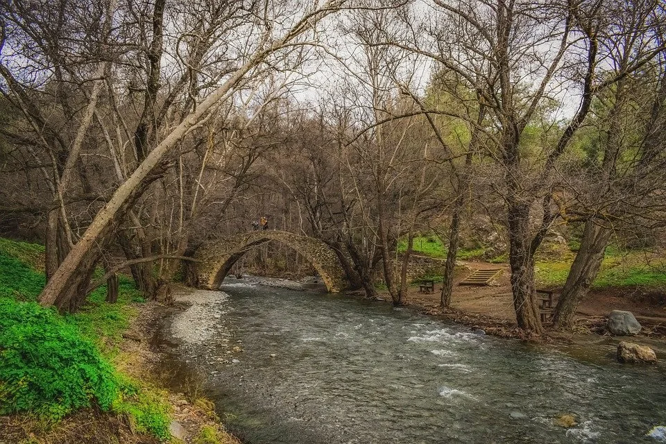 Bridge, Old, Architecture, River, Stones, Trees