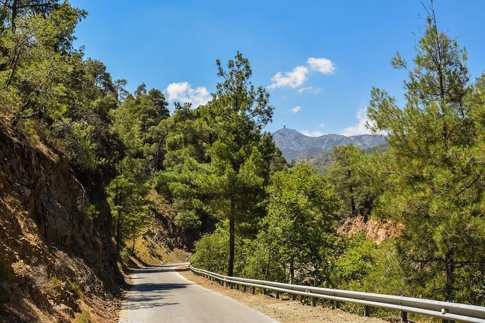 Road, Forest, Countryside, Landscape, Summer, Rural