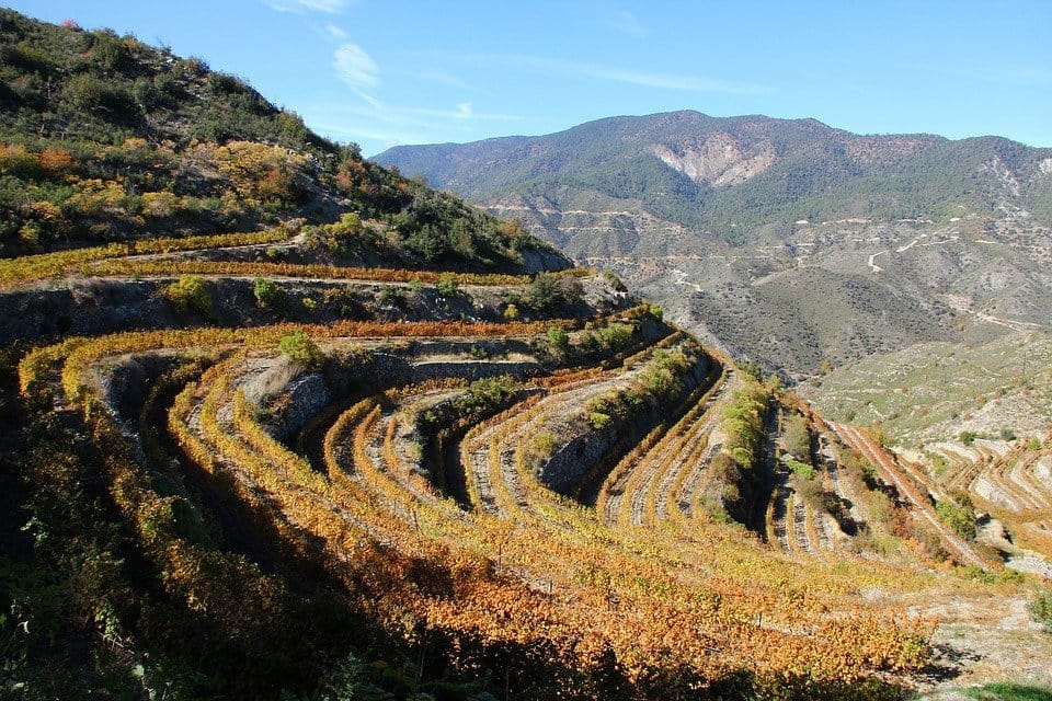 Troodos, Pitsilia, Winery, Vineyard, Vines, Mountain